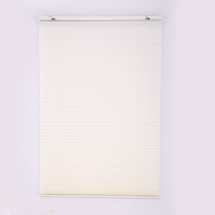 Conservatory Pleated Blinds